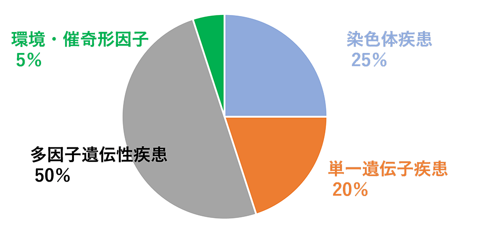 羊水検査(妊娠15週～17週頃)