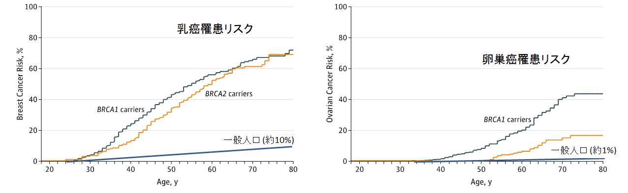 HBOC患者さんの乳がん、卵巣がんの発症リスク